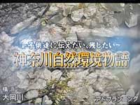 拡大 テレビ神奈川　自然環境保護キャンペーンCM 01